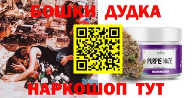 индика Новозыбков
