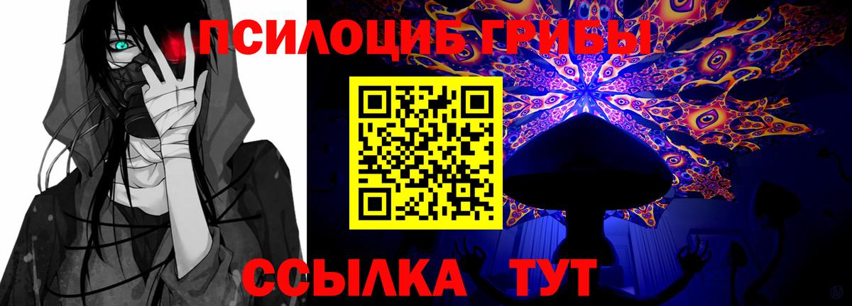 Чернушка  Псилоцибиновые грибы мицелий  Вход с VPN 